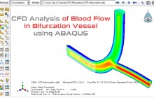 تحلیل CFD جریان خون در مجرای دوراهی رگ توسط آباکوس