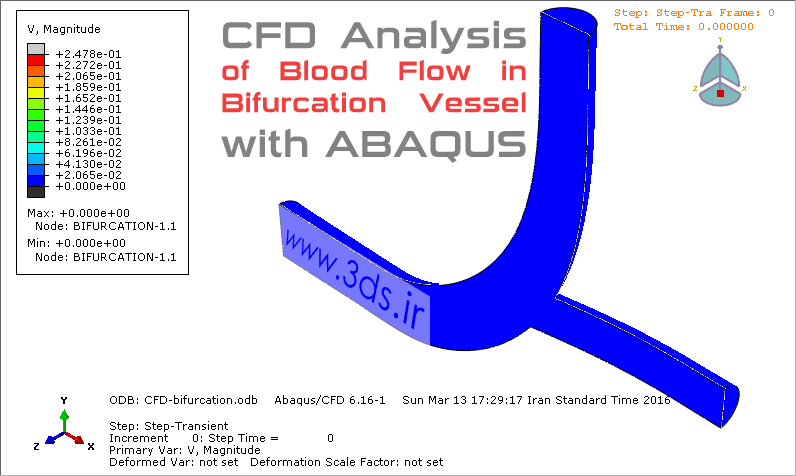 انیمیشن تحلیل CFD جریان خون در رگ توسط آباکوس